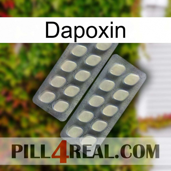 Dapoxin 07.jpg